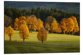 Magnettafel Goldener Herbst