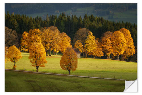 Muursticker Golden autumn