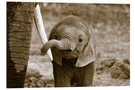 Magnettafel Nähe, Sepia