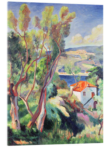 Acrylic print Route to Villefranche