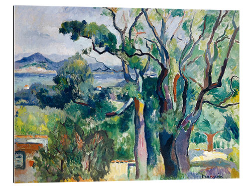 Gallery print Bay of Saint-Tropez