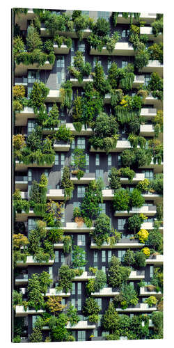 Gallery print Tree Houses Vertical Forest II