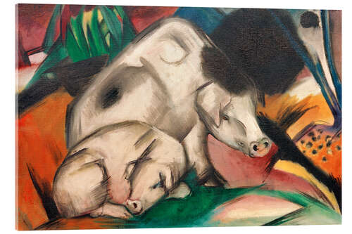 Acrylglas print Pigs (mother pig)