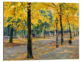 Aluminium print Autumnal avenue