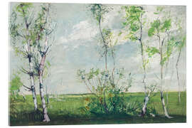 Acrylic print Birch trees in spring