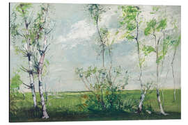 Aluminium print Birch trees in spring