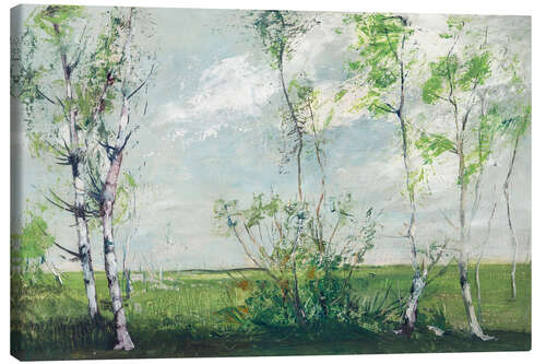 Canvas print Birch trees in spring