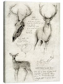 Canvas-taulu  Deer - Mike Koubou