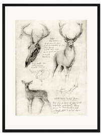 Gerahmter Kunstdruck Hirsche