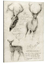 Magnettafel Hirsche