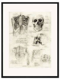 Gerahmter Kunstdruck Skelette