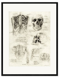 Framed art print Skeleton