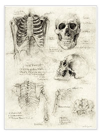 Poster  Squelette (anglais) - Mike Koubou