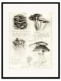 Gerahmter Kunstdruck Pilze