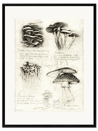 Gerahmter Kunstdruck Pilze
