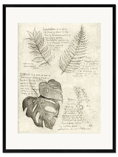 Gerahmter Kunstdruck Pflanzen