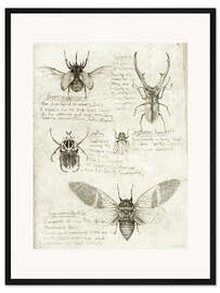 Gerahmter Kunstdruck Insekten III - Mike Koubou