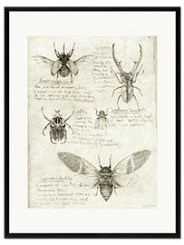 Gerahmter Kunstdruck Insekten III