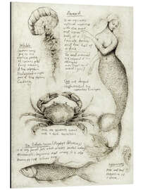 Magnettafel Meerestiere