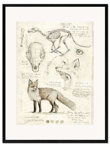 Gerahmter Kunstdruck Fuchs