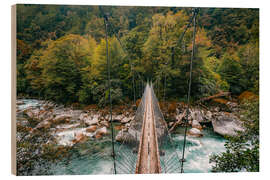 Trebilde Suspension bridge in the Fiordlands of New Zealand