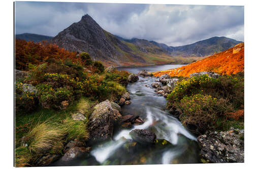 Gallery print River from the mountains of Wales