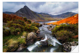 Wall sticker River from the mountains of Wales