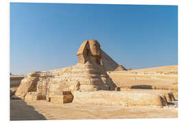 Foam board print The Great Sphinx of Giza, Egypt