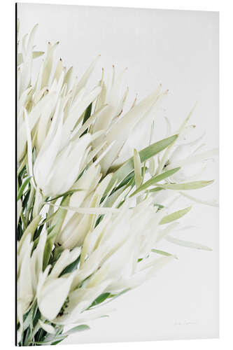 Tableau en aluminium Leucadendron