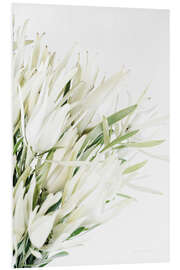 Tableau en PVC Leucadendron