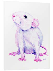 Foam board print White Rat