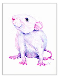 Poster Rat blanc
