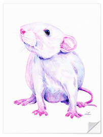 Selvklebende plakat White Rat