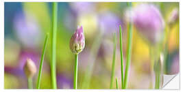 Selvklebende plakat Chives