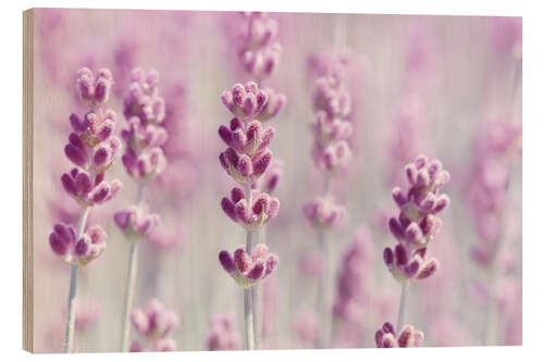 Wood print Pink Lavender Dream