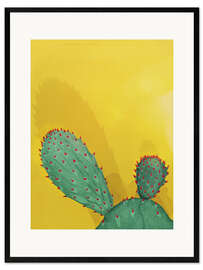Gerahmter Kunstdruck Stacheliger Kaktus