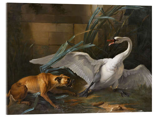 Akrylglastavla Swan attacked by a dog