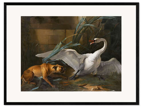 Gerahmter Kunstdruck Schwan wird von einem Hund angegriffen