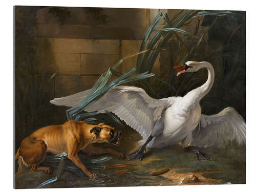 Galleritryck Swan attacked by a dog