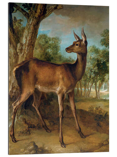 Gallery print The watchful doe