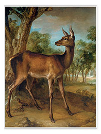 Wall print  The watchful doe - Jean-Baptiste Oudry