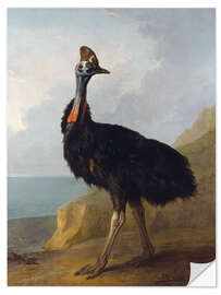 Wall sticker Cassowary