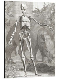 Magnettafel Clara Rhinoceros