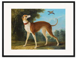 Gerahmter Kunstdruck Windhund in einer Landschaft