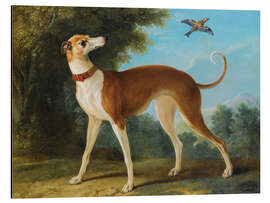 Magnettafel Windhund in einer Landschaft