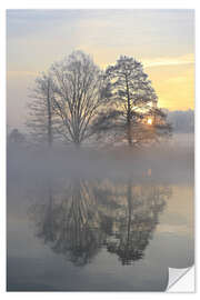 Selvklæbende plakat New Years morning 2020