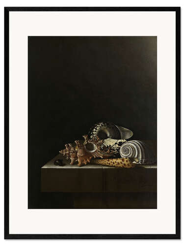 Plakat artystyczny premium w ramie Shells on a stone base