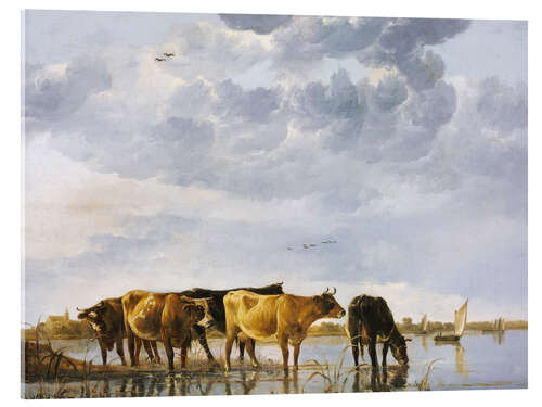 Akrylbilde Cows in a river