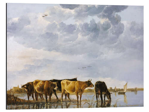 Tableau en aluminium Vaches dans une rivière