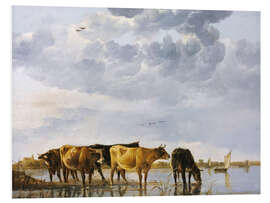 Foam board print Cows in a river